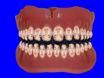 入れ歯耕司先輩BB.musiba