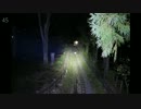 【心霊気違】地縛霊の自殺樹の存在...!!《世田谷公園》