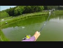【アタリの可視化】釣り人目線のエリアフィッシング【管理釣り場】