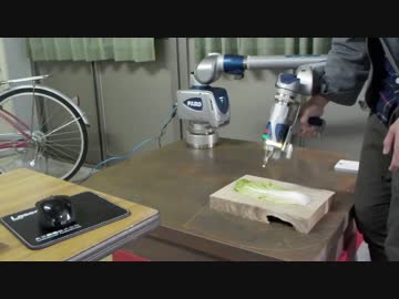 3Dレーザースキャン (ハクサイ)