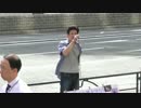 【2015/4/28】主権意識を訴える啓蒙街宣in有楽町2
