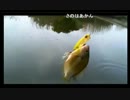 4.28bikou師ライギョx264.aac.mp4