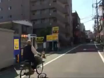 【ニコ生】板橋区を散歩しつつ適当に生放送【外配信】