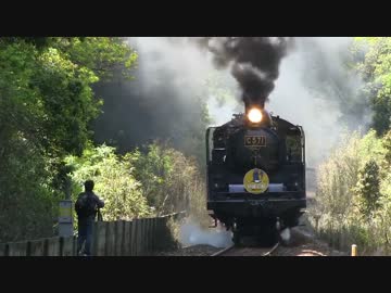 新緑の中を走るSLやまぐち号 2015年4月26日　