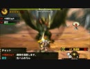 【MH4G】モンハンフェスタ01　ヘビィ×ヘビィ01’04’’90【闘技】