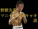 野獣先輩マニー・パッキャオ説.p4p