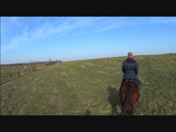 閑散期の北海道へ遊びに行こう【馬載動画】