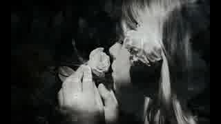 手嶌葵　『 The Rose 』