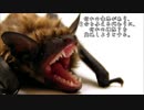 ショートサーキット出張版読み上げ動画321nico.mp4