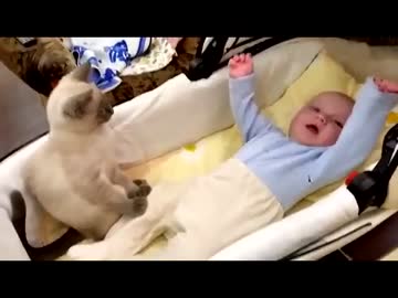 育児にゃんこ　まとめ