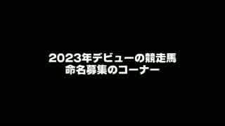 【PS3 ウイニングポスト8 2015】ポットはんの真・馬主生活 命名募集02