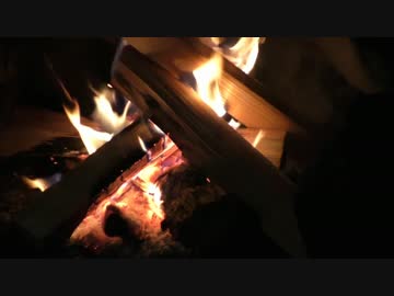 癒しのキャンプ その5