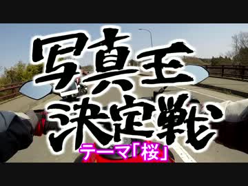 写真王決定戦！「桜」＿新 仙台BIKE LIFE ! #9