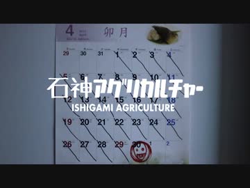 石神アグリカルチャー1504