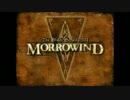 The Elder ScrollsⅢ Morrowind スクリーンショット