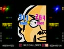 WILD CHALLENGER(EXT) Autoplay