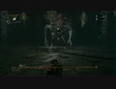 【ブラッドボーン】 深きトゥメル遺跡 第四層2 初見【聖杯ダンジョン】