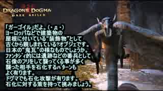 【ドラゴンズドグマ】タイドレザー好きが“救世主”を目指す【Part.053】