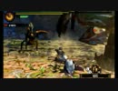 【MH4G】 闘技大会 重甲虫と徹甲虫討伐　ハンマーソロ S　8'43"26