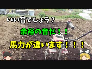 ちょっと大きな家庭菜園はじめてみる【第２回目】