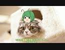 ゆっくりリグルの怪談話【６話目】