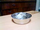 久々の放鳥中の水浴び