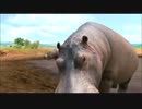 【良作ゲームの旅】　AFRIKA　実況プレイ　Part　4