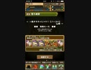 一度きりチャレンジ！【ノーコン】　Lv10 曲芸士パ