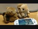 【実況】GO!GO!575#01【リス】
