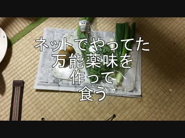 ネットでやってた万能薬味を作って食う