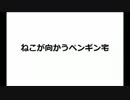 フレ戦実況！