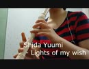 リコーダーで「Lights of my wish」を演奏してみた