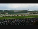 天皇賞(春)＠京都競馬場　2015年5月3日