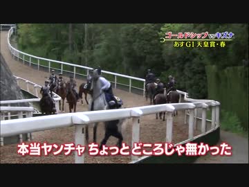 大暴れするゴールドシップ.mp4