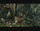 再びのダークソウル2【DX11】 Part22