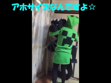 【マイクラ】エンダードラゴンと匠パーカー作ったら心折れた☆