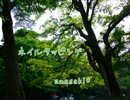 ネイルタッピング【amasaki*】