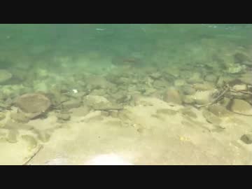 【バイノーラル】川のゆらめき　春【癒し】