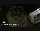 猫動画にCanon ivis mini X ジャンくんをどアップで撮影