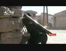 【シリア】銃撃したところ反撃される【危機一髪】