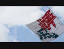 2015年5月４日座間大凧まつり