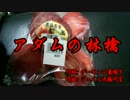 【初音ミク】アダムの林檎(聖飢魔Ⅱ)【コピー曲】