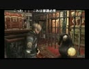 【セリス】藤沢連帯 檻ガラ【バイオ４】