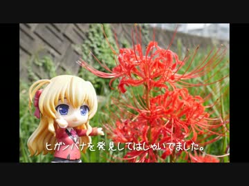 ニート、旅をする【97日目】