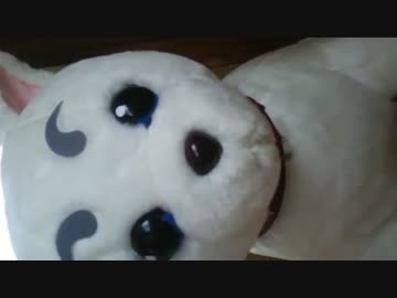 脚フェチ向け動画（閲覧注意）