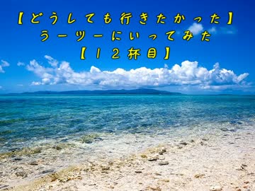 【どうしても行きたかった】ラーツーにいってみた【１２杯目】
