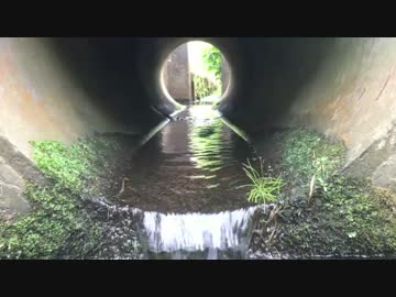 【ノスタルジー】用水路の水音【癒し】