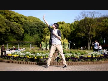 【踊ってみた】ハイドアンド・シーク【ぬこ猫】
