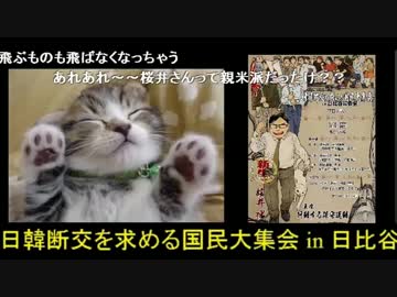 【桜井誠】日米宇宙協定を評価したら親米認定【是々非々】