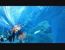 豪華客船で世界一周 ～水族館クルージング～ part7 ドバイ編